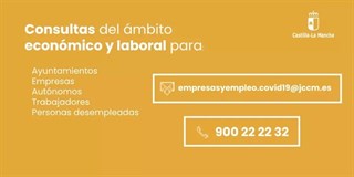 CONSULTAS DEL MBITO ECONMICO Y LABORAL